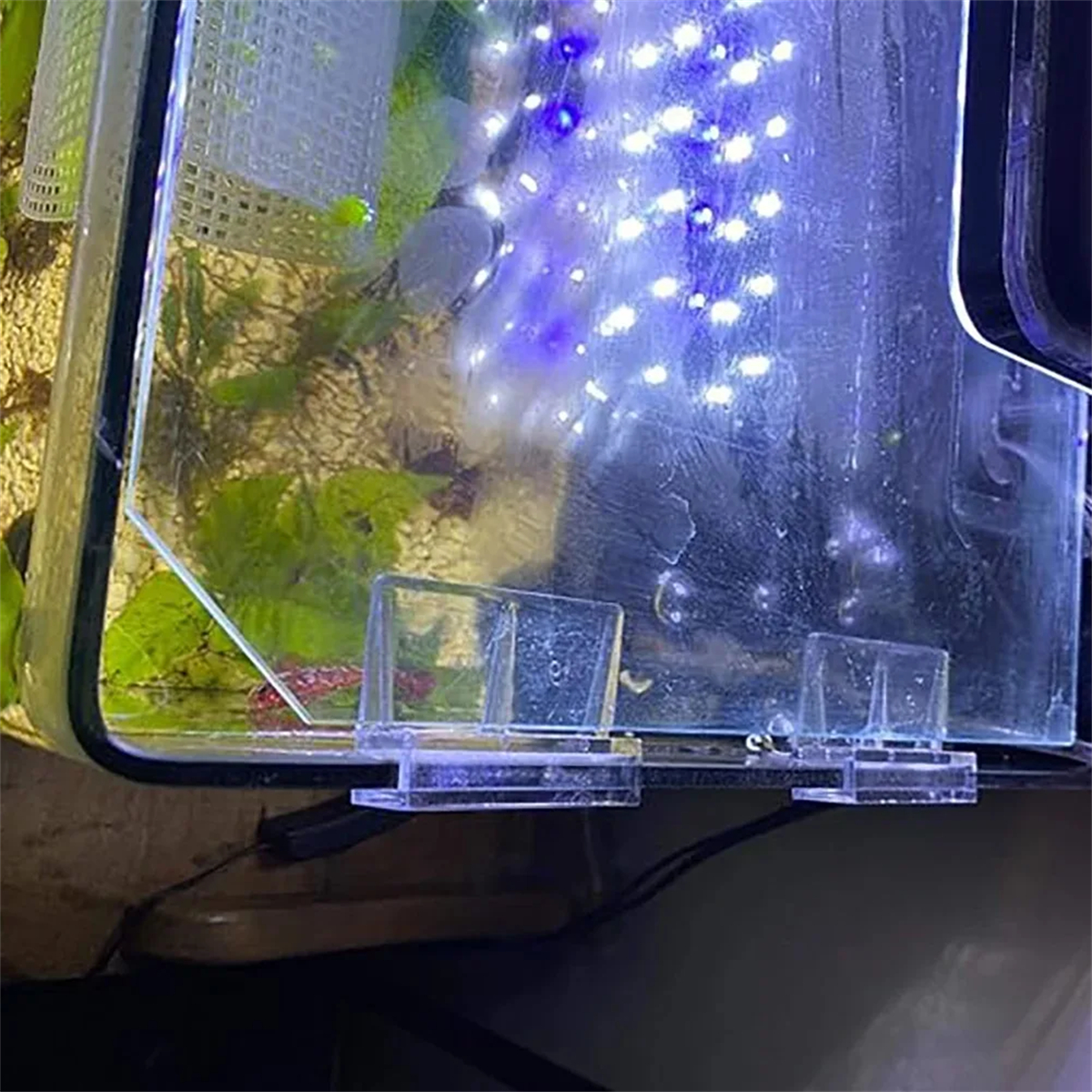 10Pcs Transparent Acrylic Fish - Aquarium Fish Images ulasan dan harga