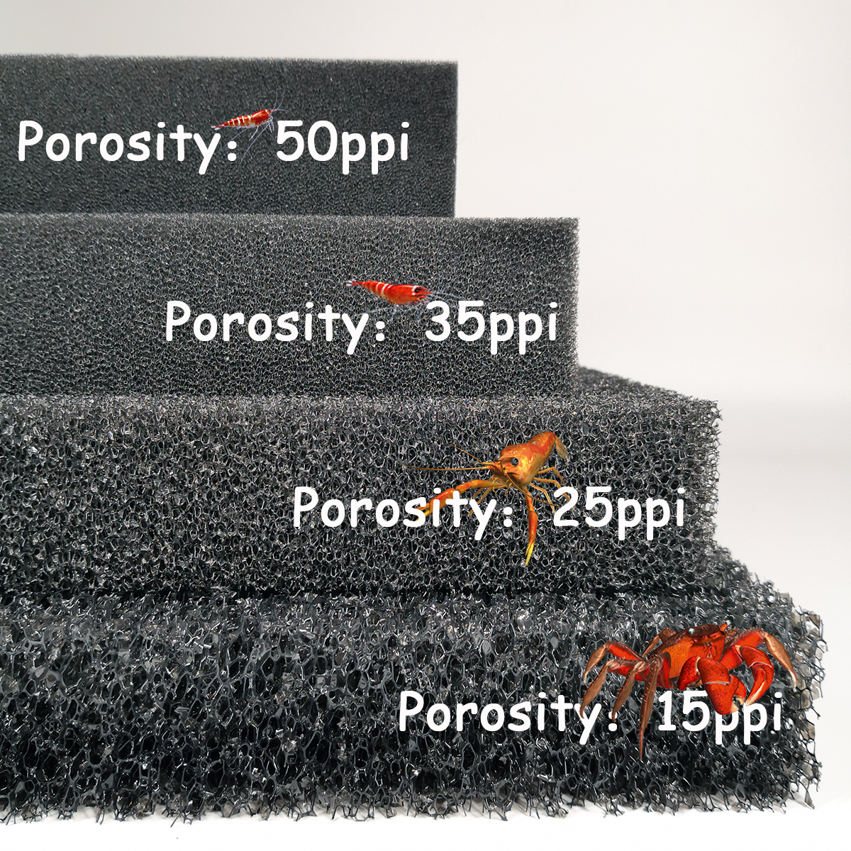 aquarium accessories Practical - Aquarium Fish For Sale Online ulasan dan harga