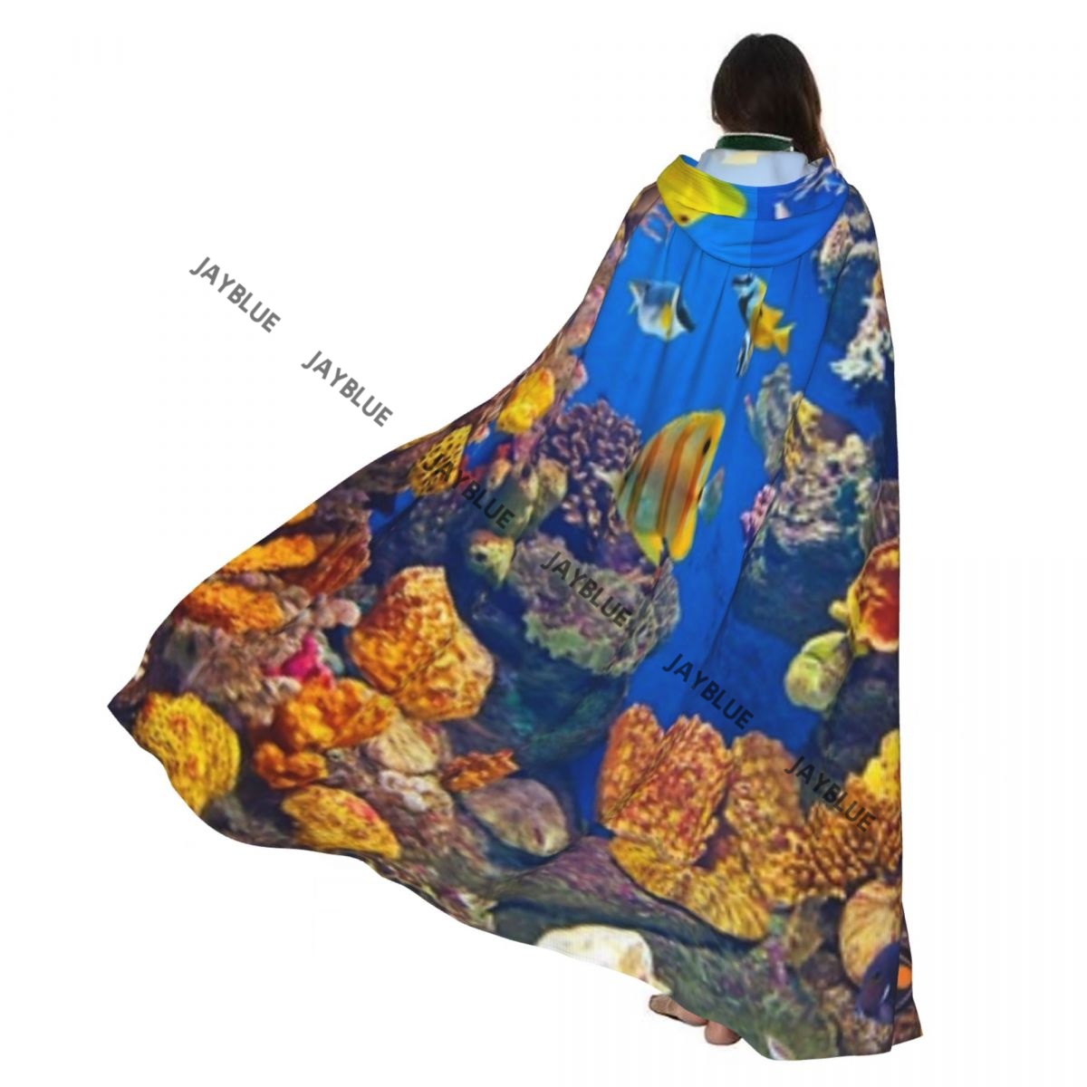 Unisex Adult Colorful Aquarium - Aquarium Queen Fish ulasan dan harga
