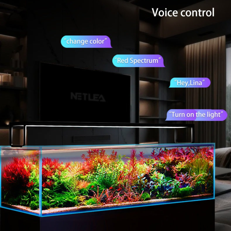Netlea AT5S V3 Smart Wifi APP  - Aquarium Fish App ulasan dan harga