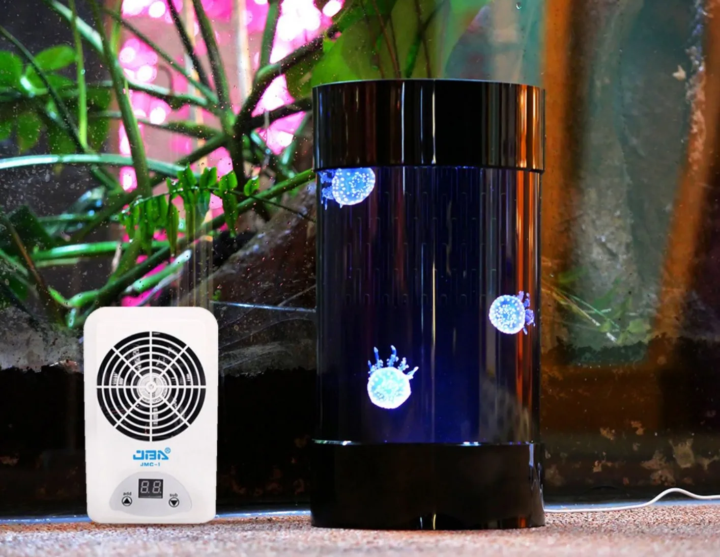 Best Amazon Sales Jellyfish Ta - Aquarium Fish In Amazon ulasan dan harga