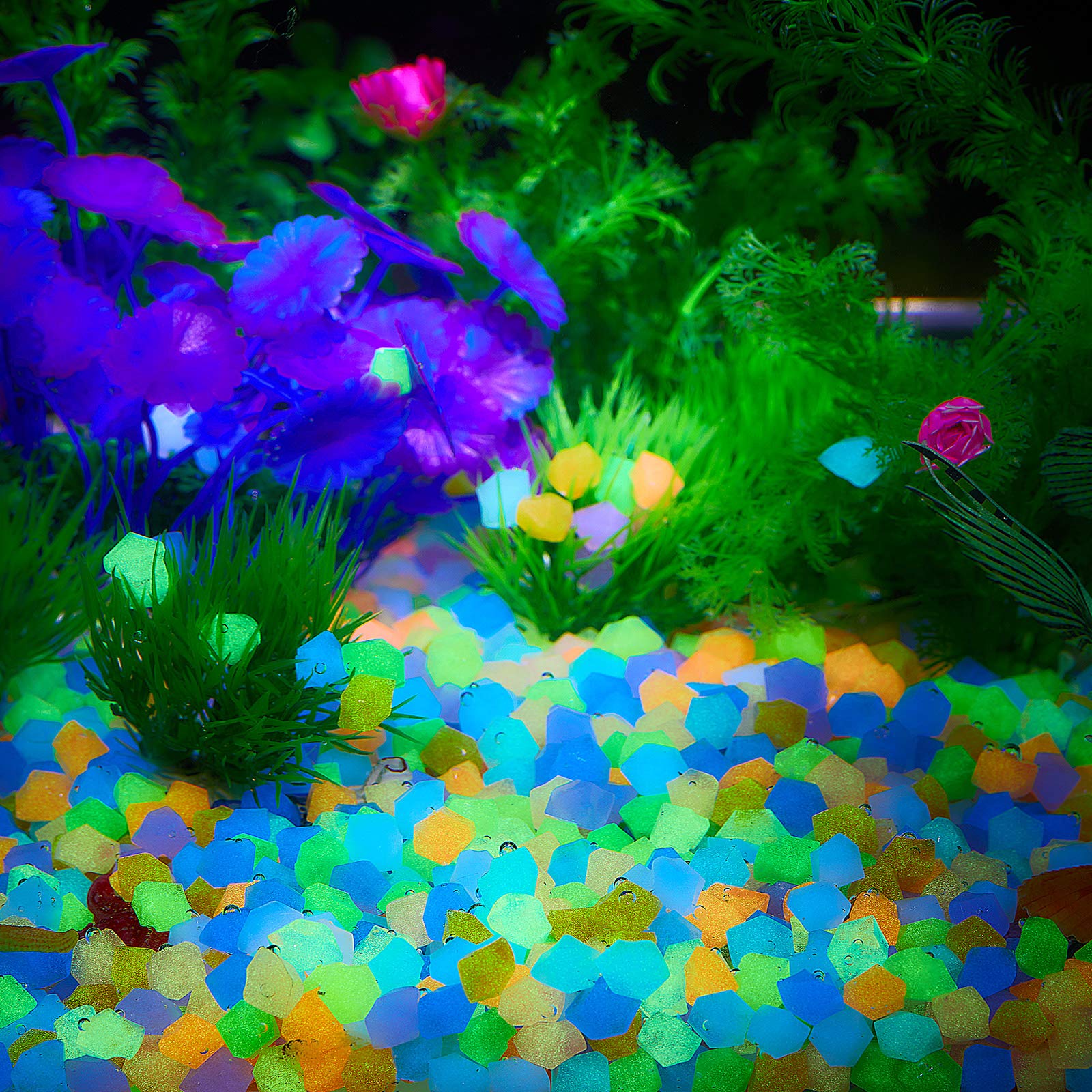 50Pcs Glow in The Dark Garden  - Aquarium Fish That Glow In The Dark ulasan dan harga