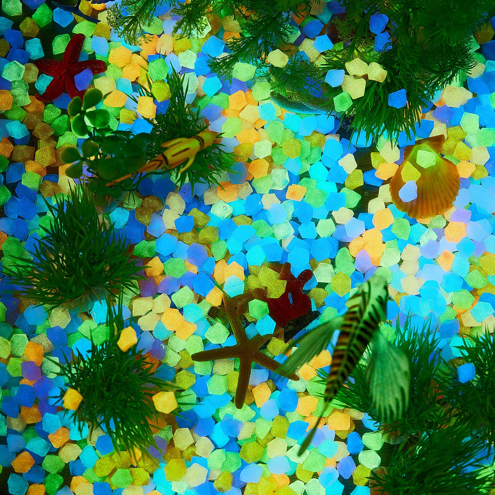 50Pcs Glow in The Dark Garden  - Aquarium Fish That Glow In The Dark ulasan dan harga