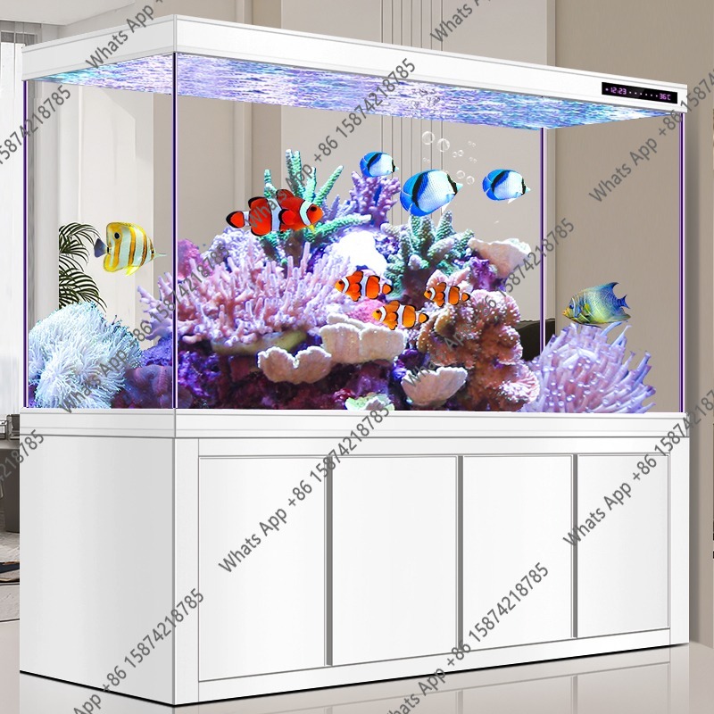 X Arowana Tank Ultra-white Gla - Xchange Aquarium Fish ulasan dan harga