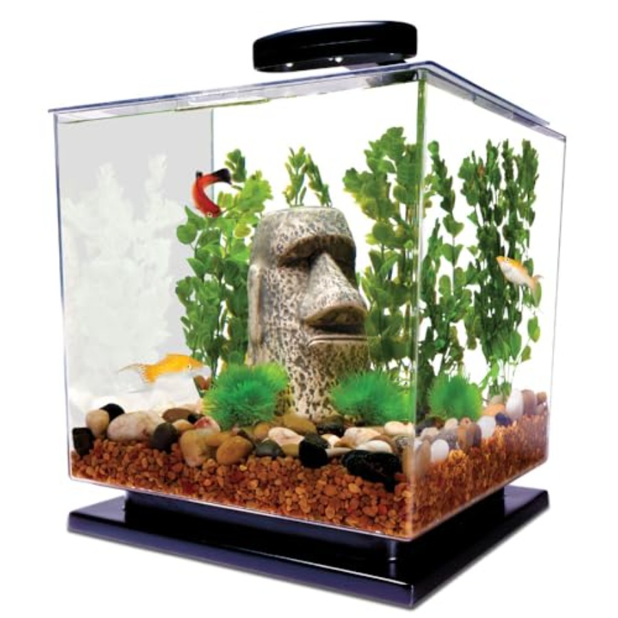 3 Gallon Fish Tank Aquarium St - Aquarium Led Light ulasan dan harga