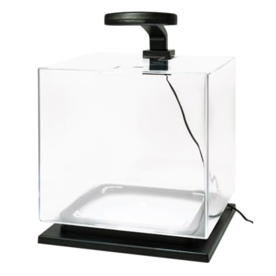 3 Gallon Fish Tank Aquarium St - Aquarium Led Light ulasan dan harga