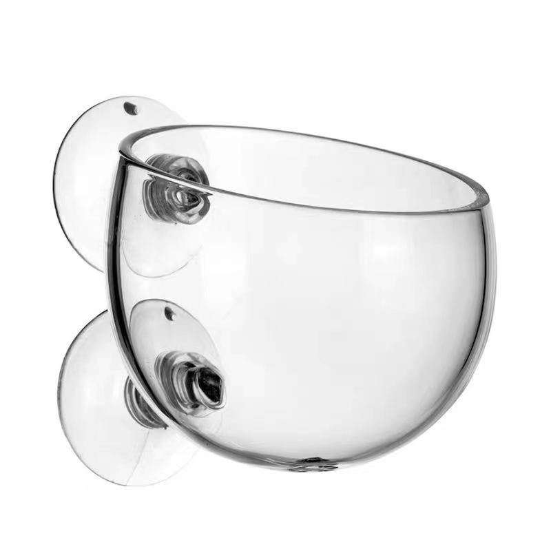 Glass Aquarium Decoration Hang - Aquarium Fish For Sale Online ulasan dan harga