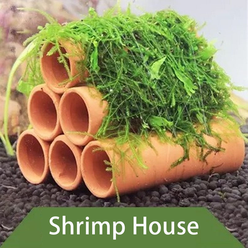 Clay Aquarium Decoration Fish  - Aquarium Fish For Sale Online ulasan dan harga