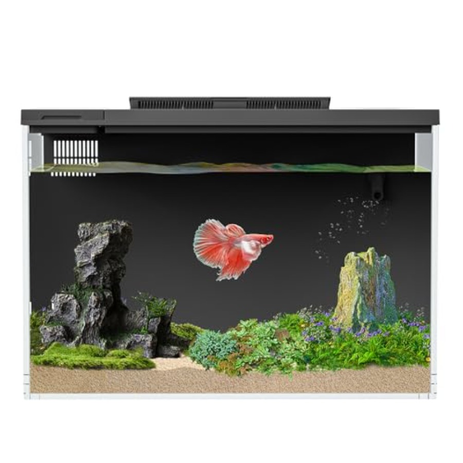 4 Gallon Betta Fish Tank, Smar - Aquarium Fish App ulasan dan harga