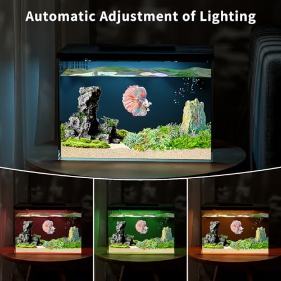 4 Gallon Betta Fish Tank, Smar - Aquarium Fish App ulasan dan harga