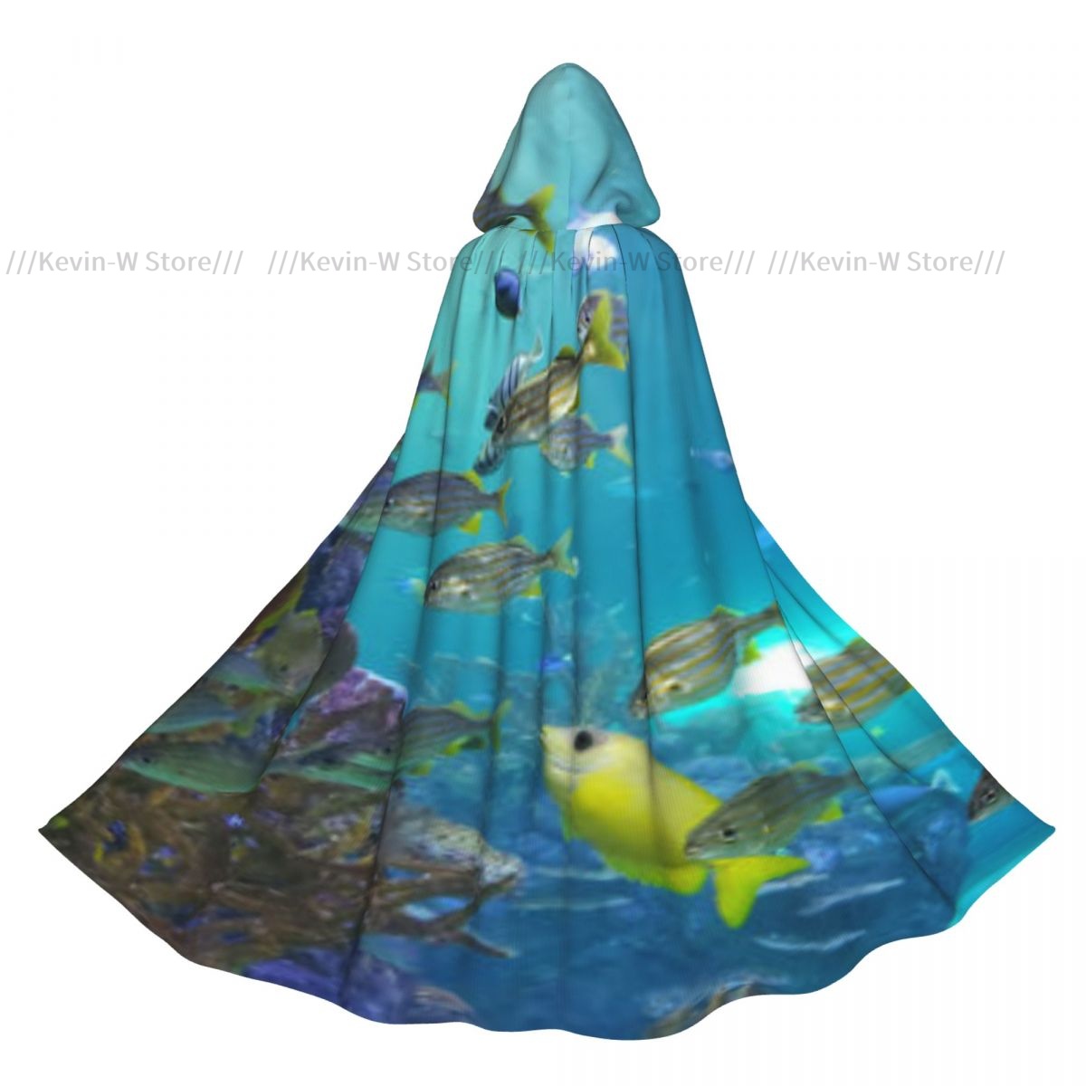 Fish Inside Aquarium Hooded Cl - Aquarium Queen Fish ulasan dan harga