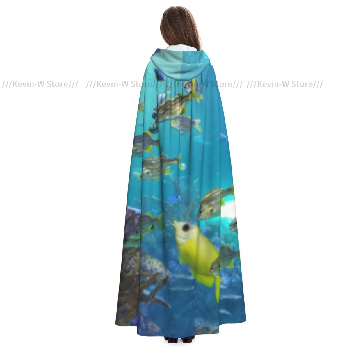 Fish Inside Aquarium Hooded Cl - Aquarium Queen Fish ulasan dan harga