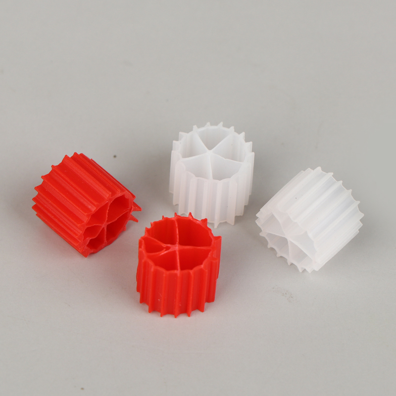 Hot Sale Wihte Red K1 Filter M - Aquarium Fish For Sale Online ulasan dan harga