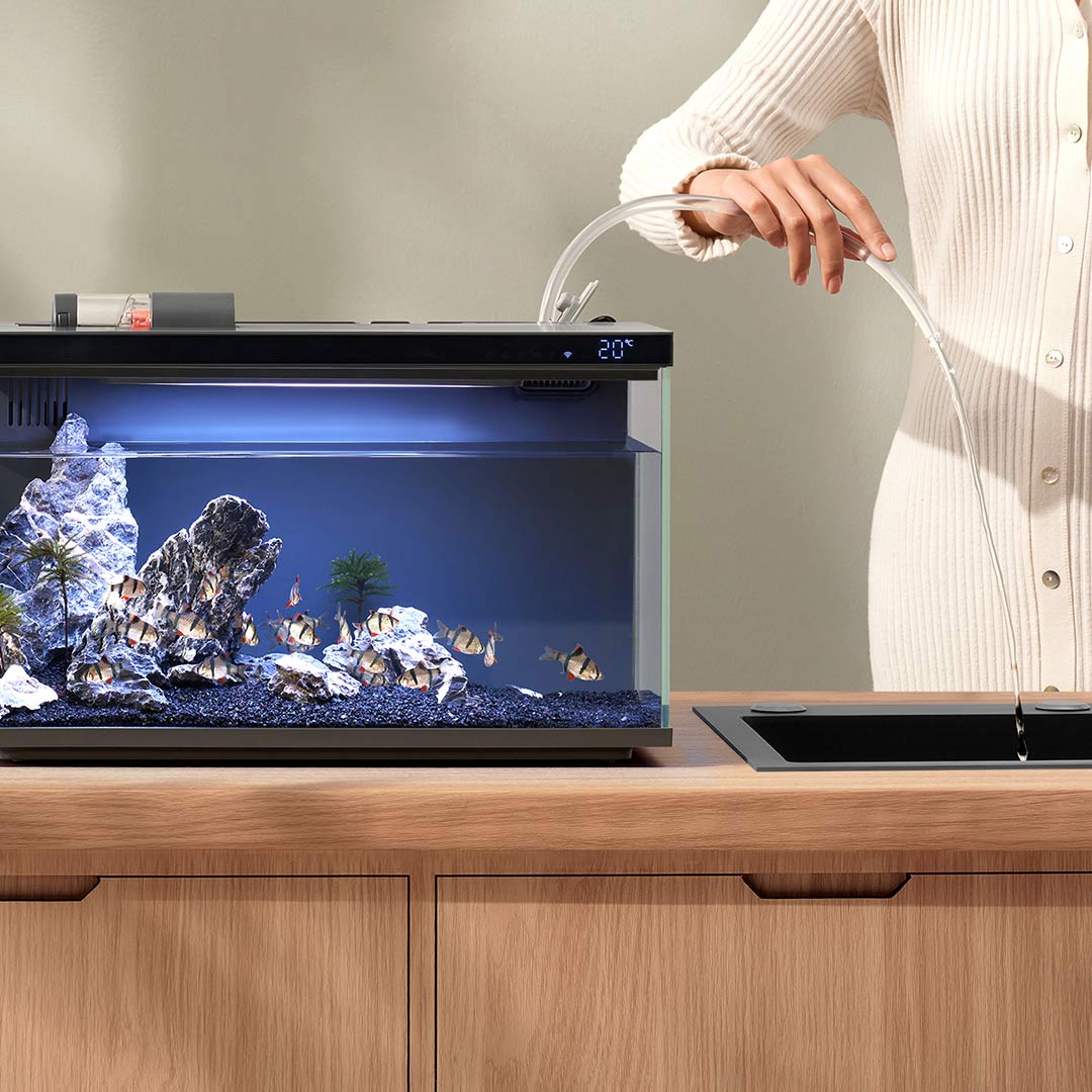 Xiaomi Mijia Smart Fish Tank M - Aquarium Fish App ulasan dan harga