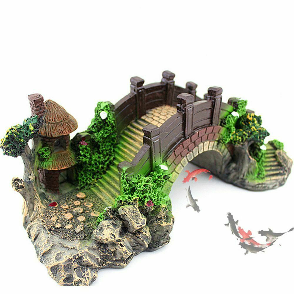 Aquarium Accessories Arbor Tre - Aquarium Fish For Sale Online ulasan dan harga