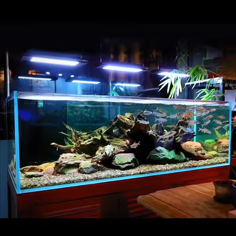 Aquarium Led Light Sunrise Sun - Aquarium Led Light ulasan dan harga