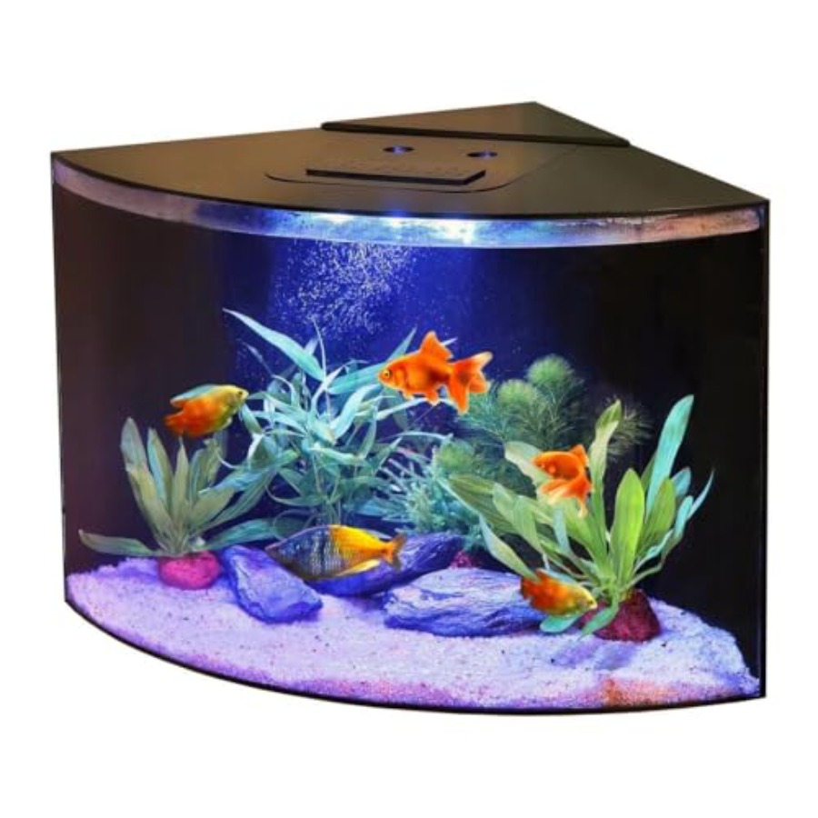 Corner Fish Tank 12.5 Gallon f - Aquarium Fish App ulasan dan harga