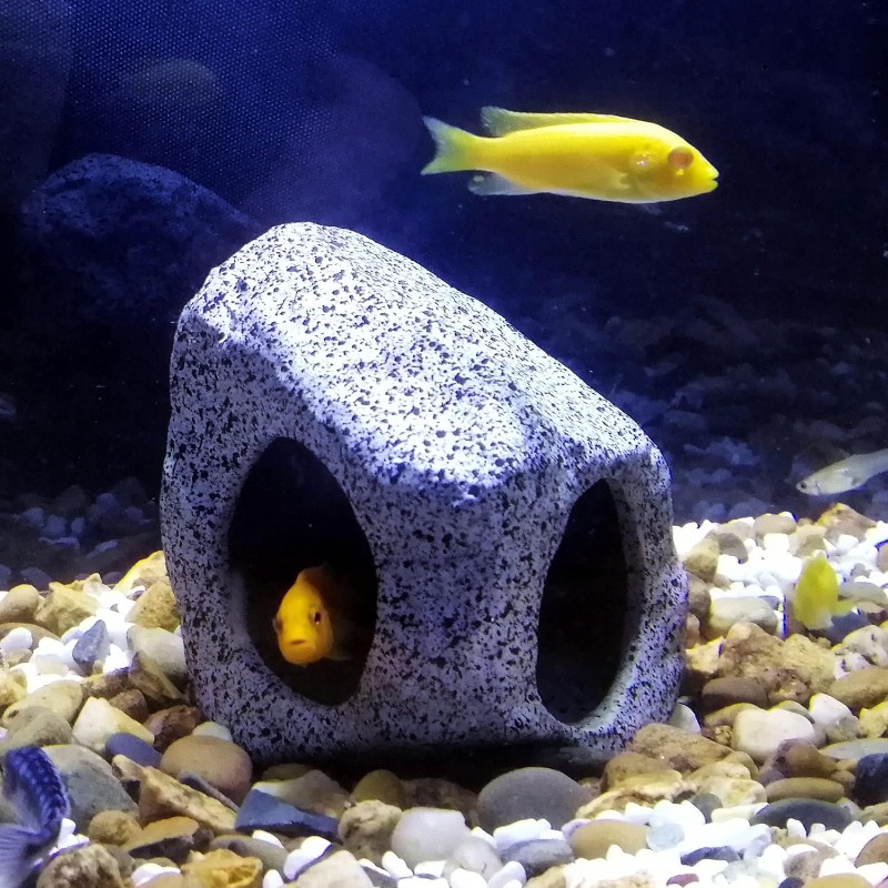 Fish Tank Cave Stone Landscapi - Aquarium Fish For Sale Online ulasan dan harga