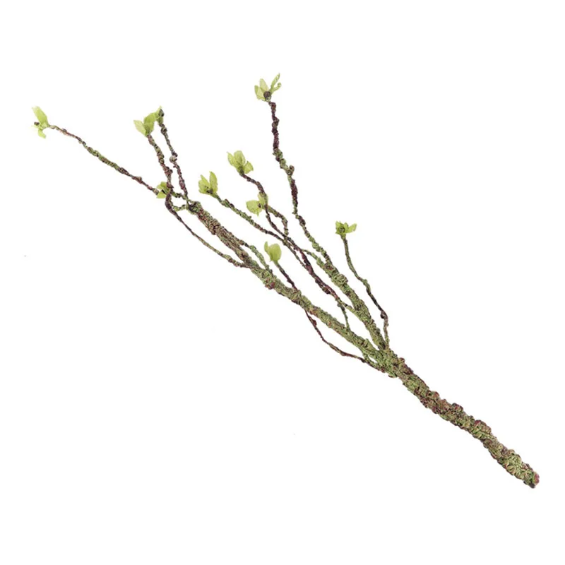 Vines Decor Climbing Branches  - Aquarium Fish For Sale Online ulasan dan harga